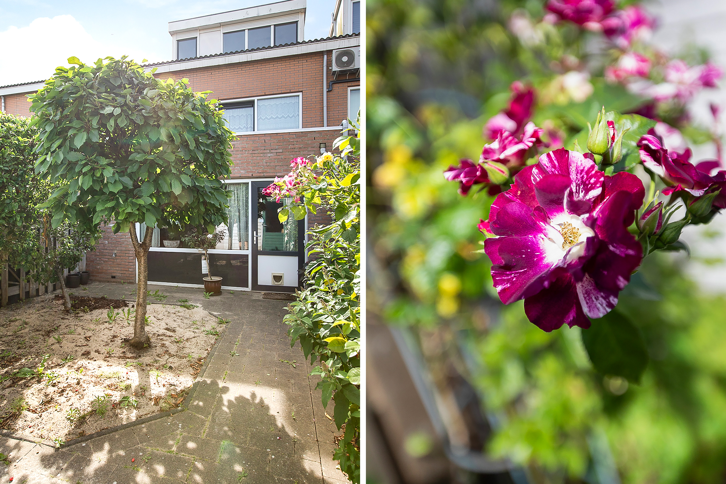 Palmestein 48 , 2151 HM Nieuw-vennep 35